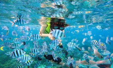 Nha Trang tour