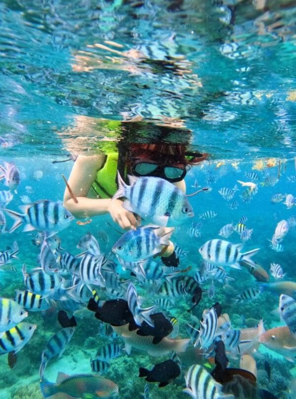 Nha Trang tour