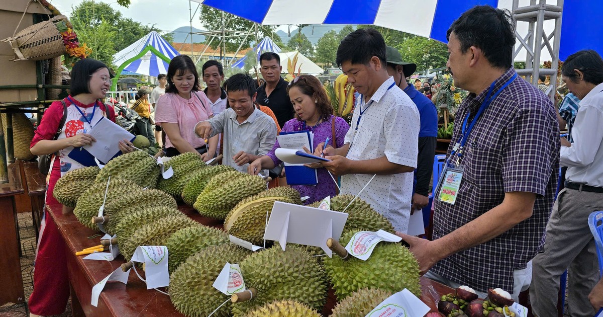 Khanh Hoa Fruit