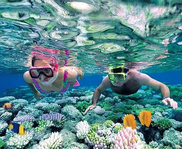 Phu Quoc island tour