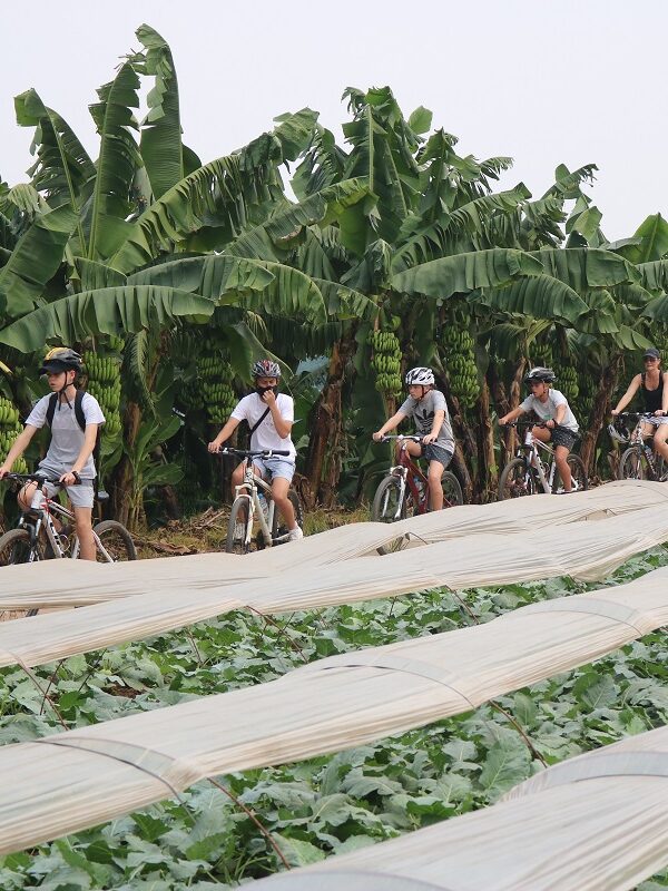 biking on banana island