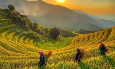 Mu Cang Chai
