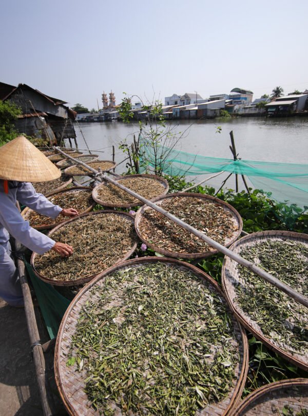mekong tour