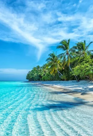 Vietnam Tour Packages From Dubai, UAE