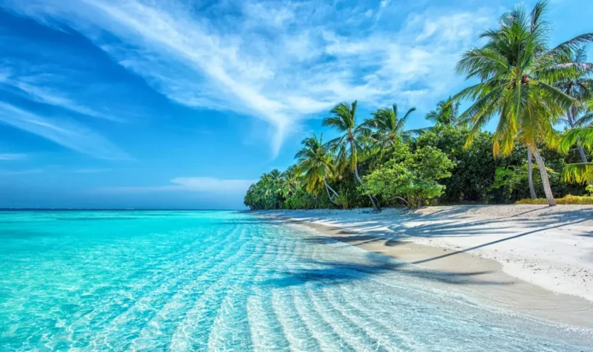 Vietnam Tour Packages From Dubai, UAE
