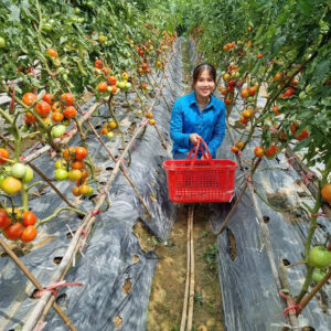 hanoi countryside tour