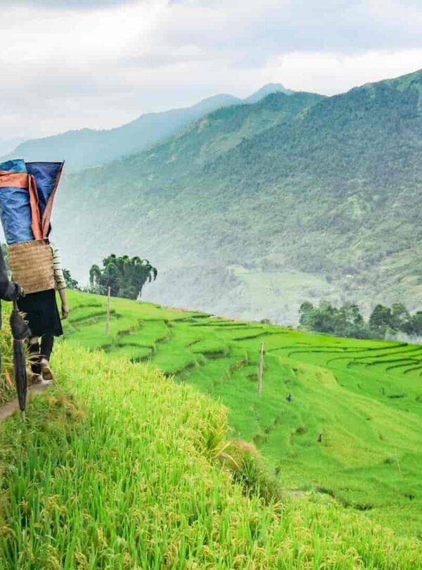 sapa tour