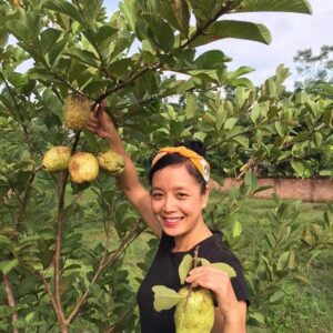 experience-the-farming