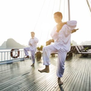 tai chi on junk