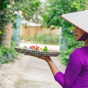 bai vi home visit tour