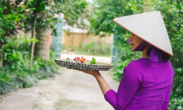 bai vi home visit tour