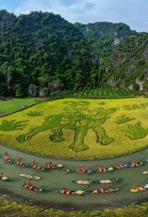 Vietnam Tour Packages From Taiwan