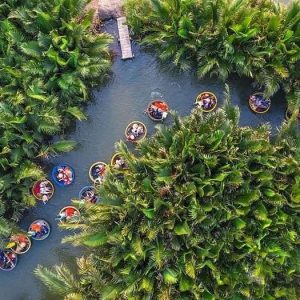 rừng dừa bảy mẫu