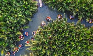 rừng dừa bảy mẫu