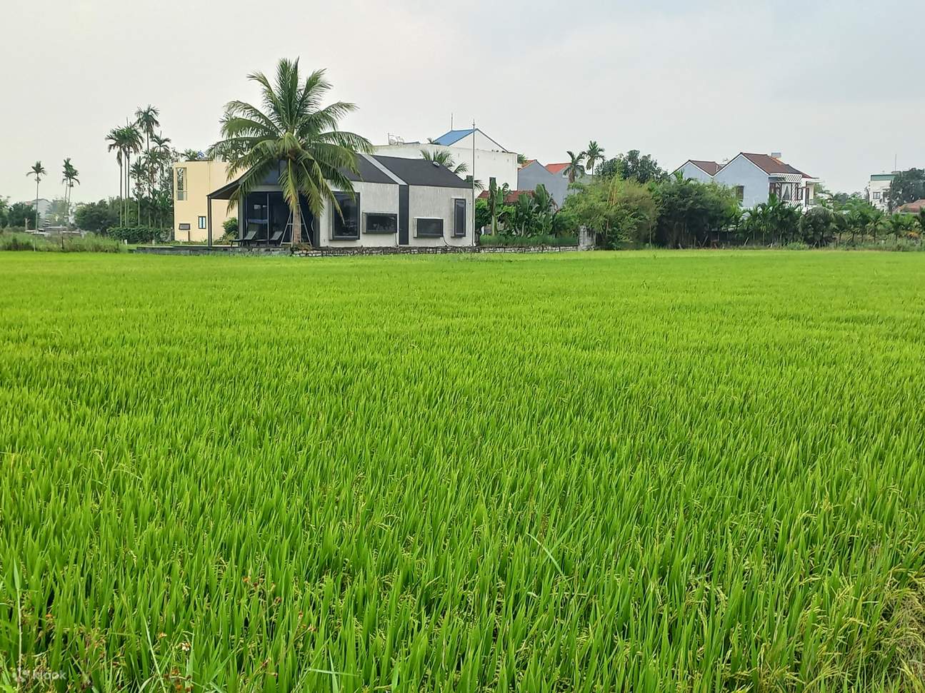 hoi an