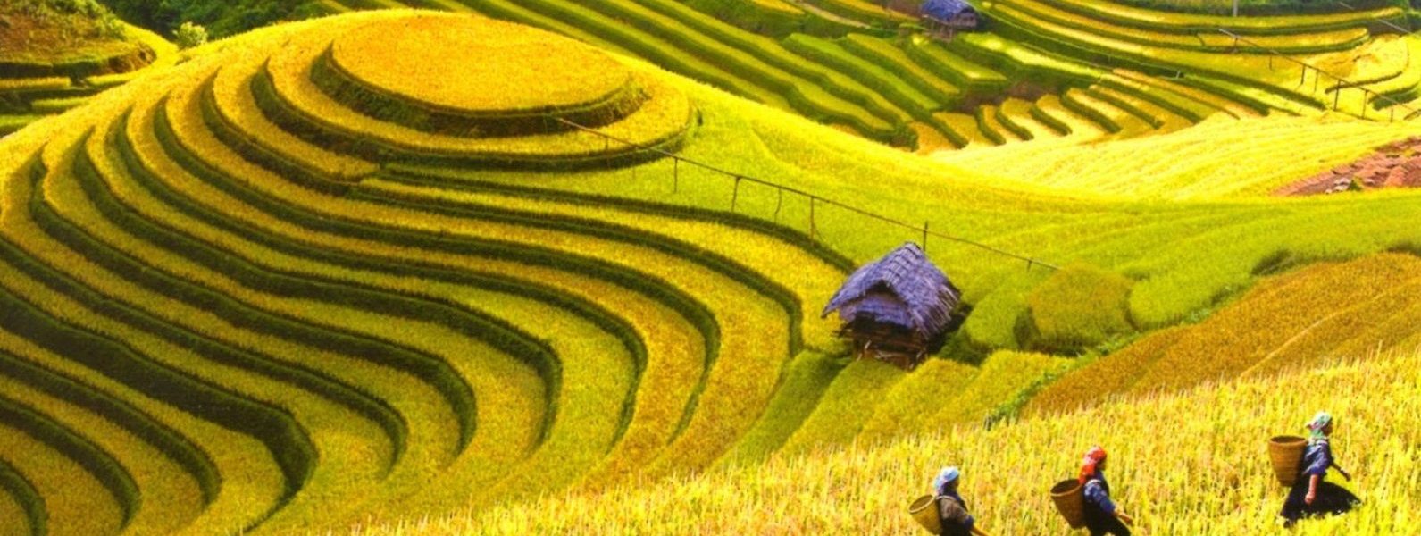 Vietnam
