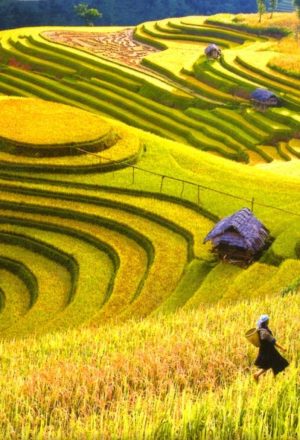 Vietnam Tour Packages from Hong Kong