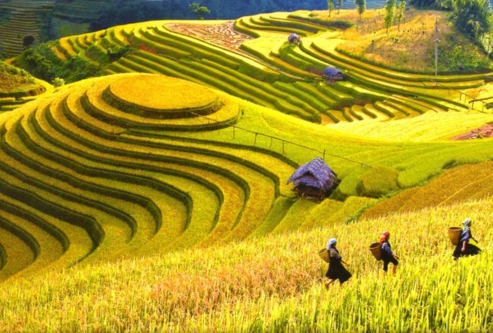 Vietnam