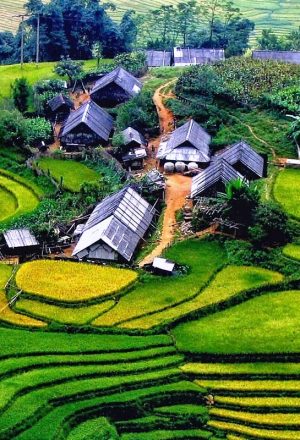 Vietnam Tour Packages from Japan