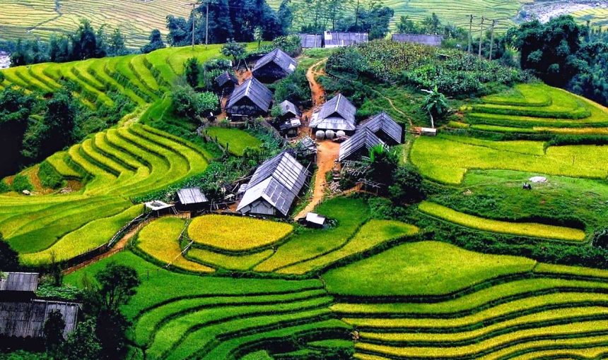 Vietnam Tour Packages from Japan