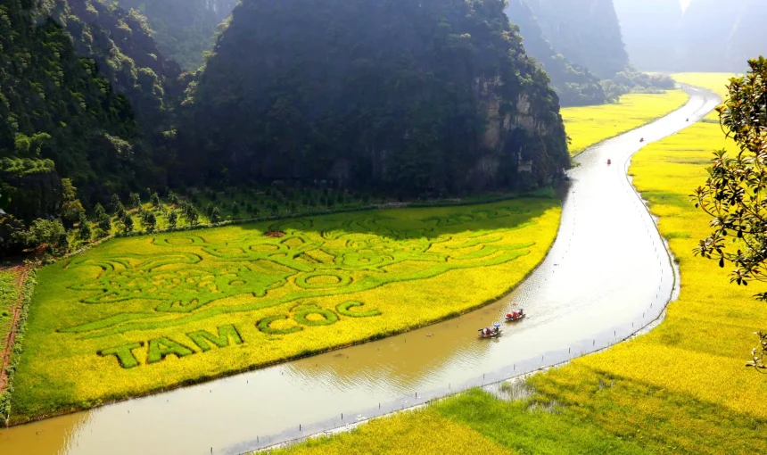 Vietnam Tour Packages from Riyadh