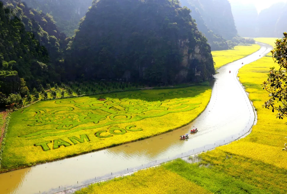 Vietnam Tourist DMC