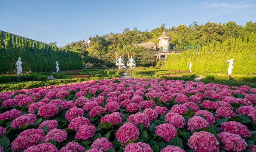 Vietnam Tour Packages from Montenegro