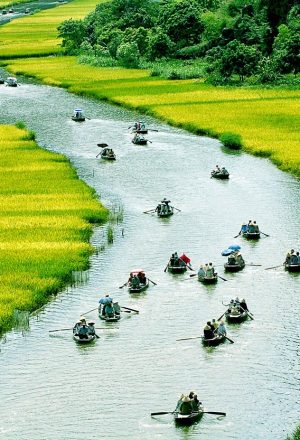 Vietnam Tour Packages from Budapest