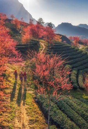 Vietnam Tour Packages from Edinburgh