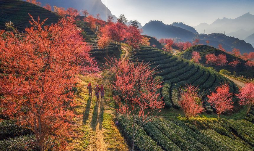 Vietnam Tour Packages from Colombia
