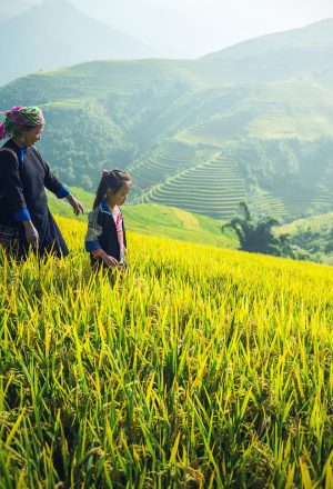 Vietnam Tour Packages from Helsinki