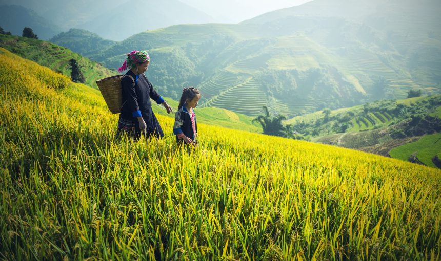 Vietnam Tour Packages from Kuwait