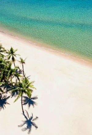 A surprising “wave” of exploring destinations in Central Vietnam.