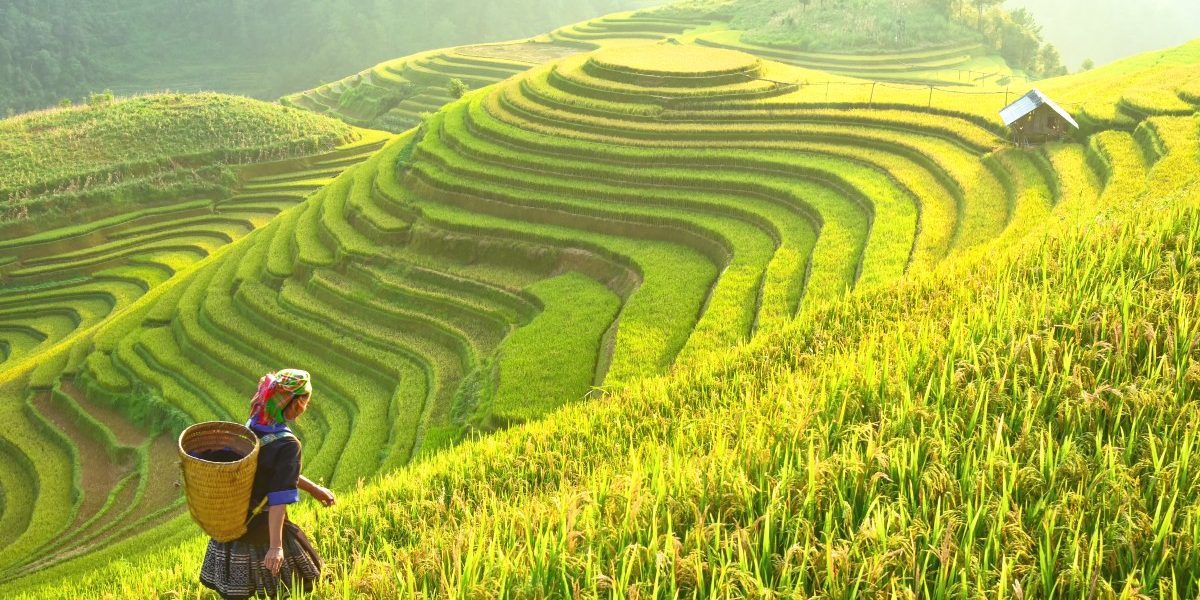 du lịch VN
