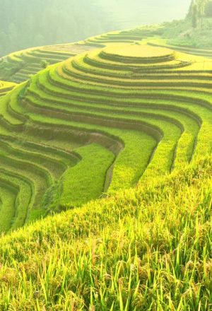 Vietnam Tour Packages from Czech Republic