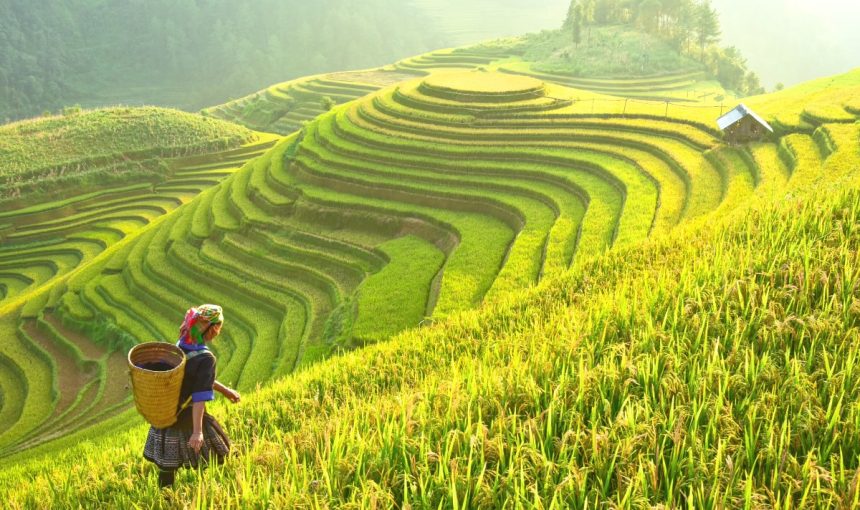Vietnam Tour Packages from Czech Republic