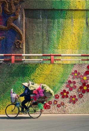 Vietnam Tour Packages from Estonia