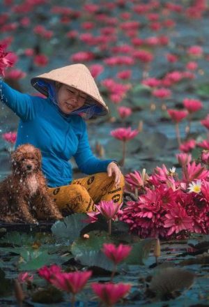 Vietnam Tour Packages from Slovenia
