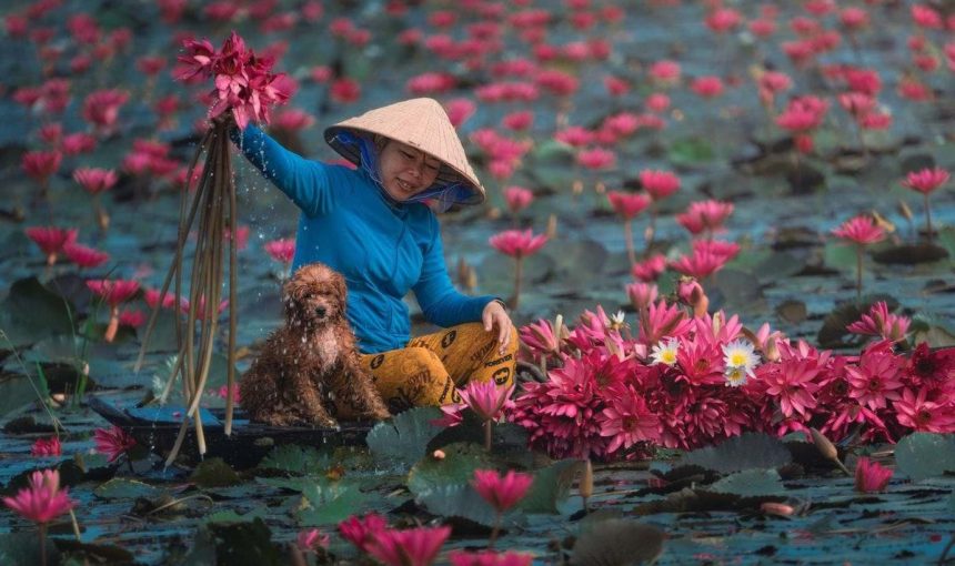 Vietnam Tour Packages from Slovenia