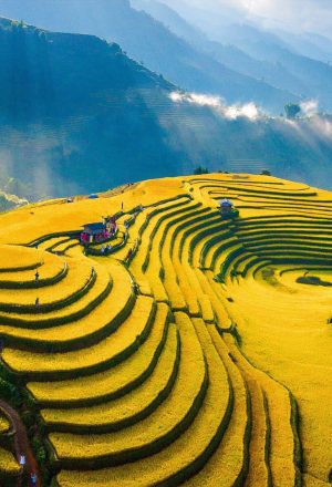 Vietnam Tour Packages from Montreal