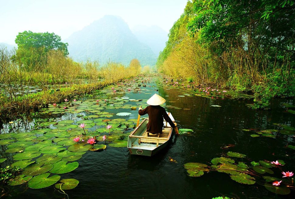 vn