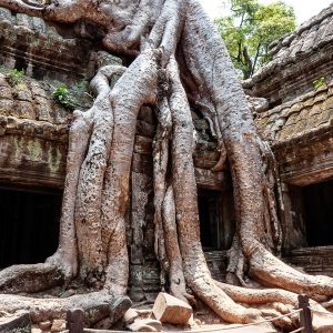 cambodia