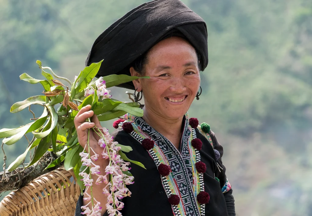 sapa