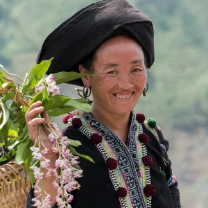sapa