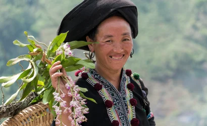sapa