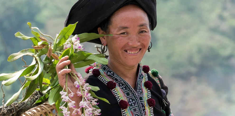 sapa