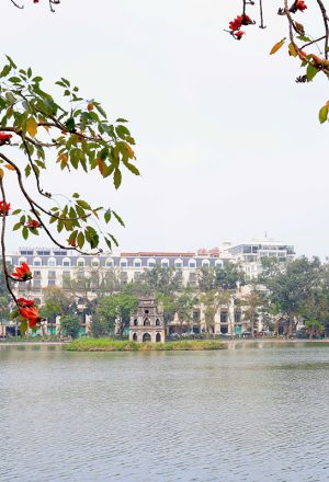 First-Time Visitor’s Guide to Vietnam: Everything You Need to Know Before You Go