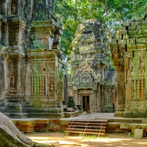 Ta-Prohm-temple-inside-Angkor-Wat-complex-Mark-R-Croucher-Shutterstock