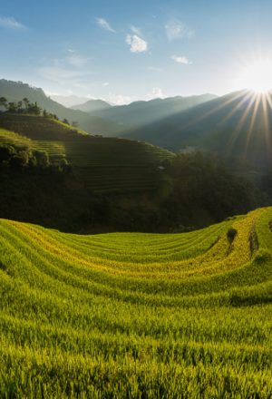 Top 15 Common Mistakes to Avoid When Traveling to Vietnam