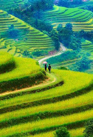How Many Days Do You Really Need for Vietnam? (5, 7, 10, or 14 Days Explained)